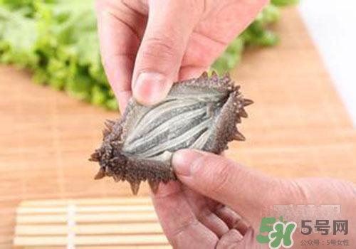 海參肚子里的筋能吃嗎？海參肚子里的筋吃了有什么作用？