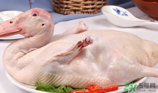 鴨肉可以放冰箱嗎？鴨肉放冰箱能保鮮多久？
