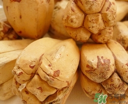 露兜果怎么吃？露兜果的功效作用