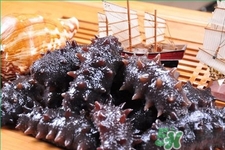 腎虛能吃海參嗎？吃海參對(duì)腎好嗎？