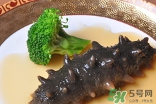新鮮海參和干海參哪種更好？海參的品種有哪些？