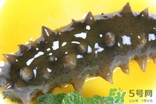 怎樣鑒別新鮮海參的好壞？干海參如何鑒別真假