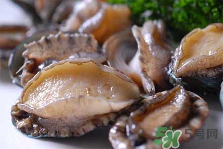 鮑魚(yú)能冷凍嗎？鮑魚(yú)可以放冰箱冷藏嗎？