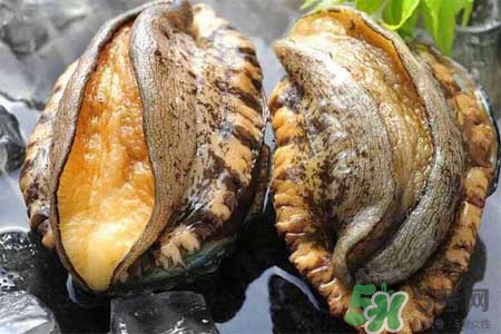鮑魚(yú)能冷凍嗎？鮑魚(yú)可以放冰箱冷藏嗎？