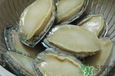 鮑魚死后可以放幾天？鮑魚死后多久不能吃？