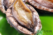 新鮮鮑魚可以放多久？活鮑魚怎樣存放時(shí)間更長？