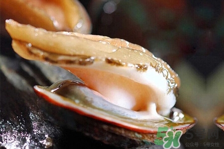男人吃鮑魚能補(bǔ)腎嗎？腎虛能吃鮑魚嗎？
