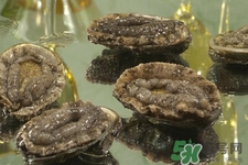 吃鮑魚要注意些什么？吃鮑魚會過敏嗎？