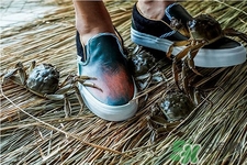 vans與acu合作款鞋子多少錢？vans與acu合作款鞋子價格
