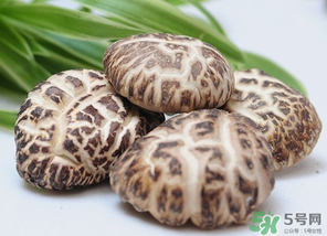 吃香菇有什么好處？吃香菇有什么壞處？