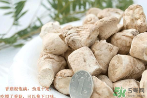 香菇根能吃嗎？香菇的根可以吃嗎？