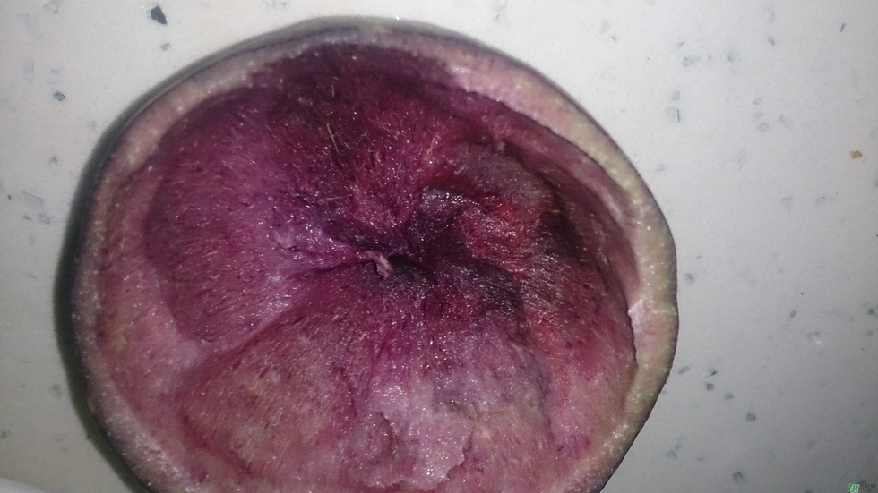 牛奶果怎么吃？牛奶果的功效與作用