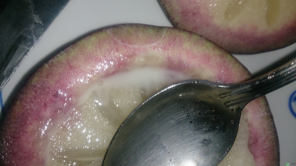 牛奶果怎么吃？牛奶果的功效與作用