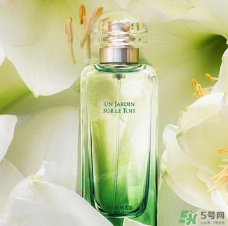 愛馬仕香水怎么看真假？愛馬仕香水真假鑒別圖