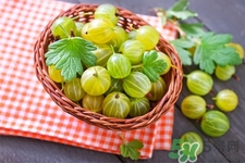 燈籠果一天吃幾個(gè)最好？燈籠果什么時(shí)候吃最好？