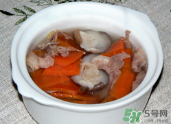 雞肉能和胡蘿卜一起吃嗎？雞肉和蘿卜可以一起吃嗎？