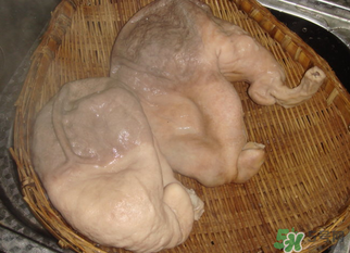 豬大腸怎么清洗？豬大腸怎么去臭味？