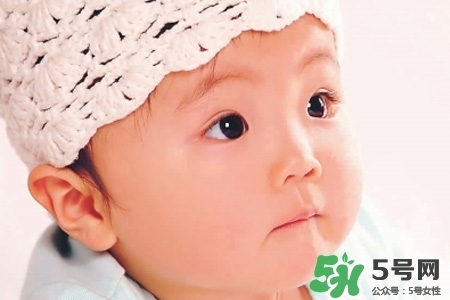 寶寶幾個(gè)月能吃肉泥？寶寶多大可以開(kāi)始吃肉？