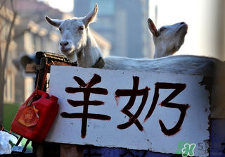 鮮羊奶怎么保存？鮮羊奶放冰箱能放多久？