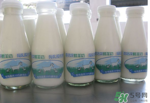 鮮羊奶可以直接喝嗎？鮮羊奶怎么喝最好？