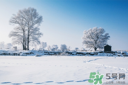 立冬適合喝什么湯？立冬養(yǎng)生喝什么湯最好？
