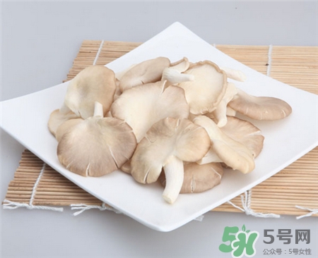 鳳尾菇的營養(yǎng)價(jià)值 鳳尾菇的功效與作用