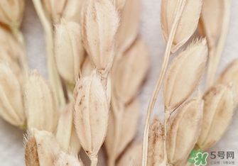 韓律適合什么膚質(zhì)？韓律適合敏感肌膚嗎？