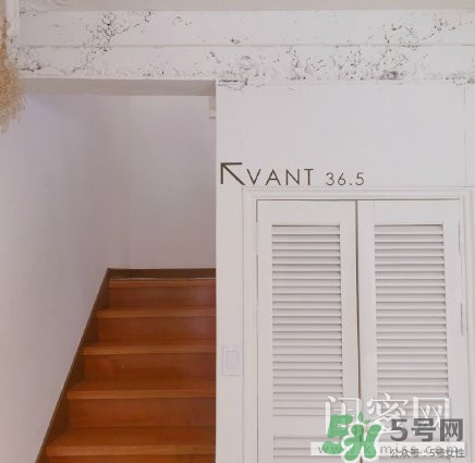 vant氣墊粉底霜怎么樣？vant36.5粉霜粉膏好用嗎？