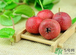 新鮮山楂什么時(shí)候上市？新鮮山楂什么時(shí)候成熟？