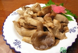 鮑魚菇怎么做好吃？鮑魚菇的功效與作用
