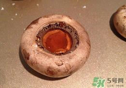 口菇變黑還能吃嗎？口菇的營養(yǎng)價值