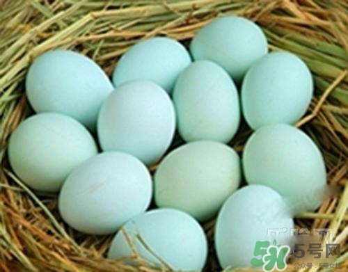 綠皮雞蛋是怎么回事？綠皮雞蛋的營養(yǎng)價值