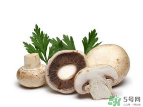 草菇怎么保存？新鮮草菇怎么保存？