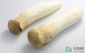 雞腿菇長白毛能吃嗎？雞腿菇怎么做好吃？