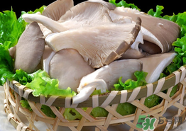 蘑菇可以放冰箱嗎？蘑菇放冰箱長毛了能吃嘛？