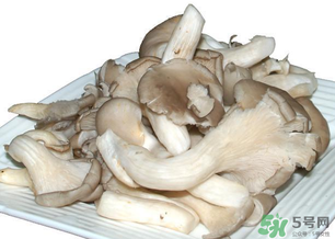 平菇怎么保存？平菇能放幾天？