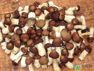 草菇可以放冰箱嗎？草菇放冰箱還能吃嗎？