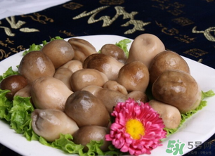 草菇可以放冰箱嗎？草菇放冰箱還能吃嗎？