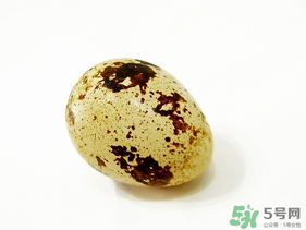 鵪鶉蛋不能和什么一起吃？鵪鶉蛋不能與什么同食？