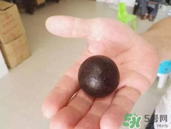 羊?qū)毷鞘裁矗垦驅(qū)殲槭裁催@么貴？