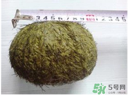 羊?qū)毷鞘裁?？羊?qū)殲槭裁催@么貴？