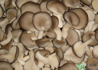 吃平菇有什么好處?平菇怎么做好吃? 吃平菇有什么好處?平菇怎么做好吃?
