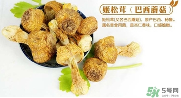 巴西蘑菇怎么吃？巴西蘑菇的作用與功效