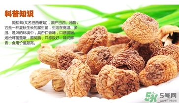 巴西蘑菇怎么吃？巴西蘑菇的作用與功效