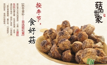 巴西蘑菇怎么吃？巴西蘑菇的作用與功效