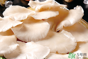 平菇怎么洗?平菇怎么洗才干凈? 平菇怎么洗?平菇怎么洗才干凈?