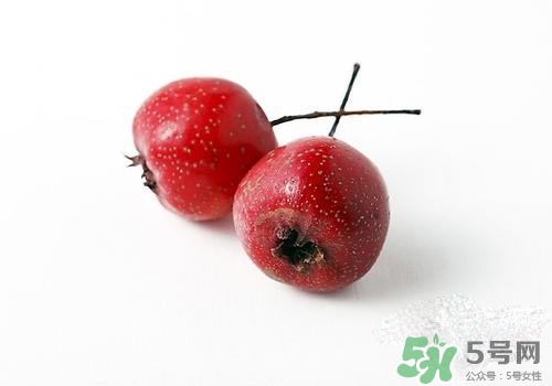孕婦可以吃山楂嗎？孕婦吃山楂好嗎？
