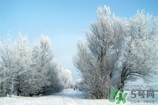 下雪天適合吃什么？下雪天吃什么食物好？