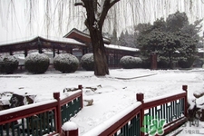 下雪天適合吃什么？下雪天吃什么食物好？