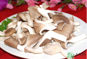 孕婦可以吃平菇嗎？孕婦吃平菇有什么好處？